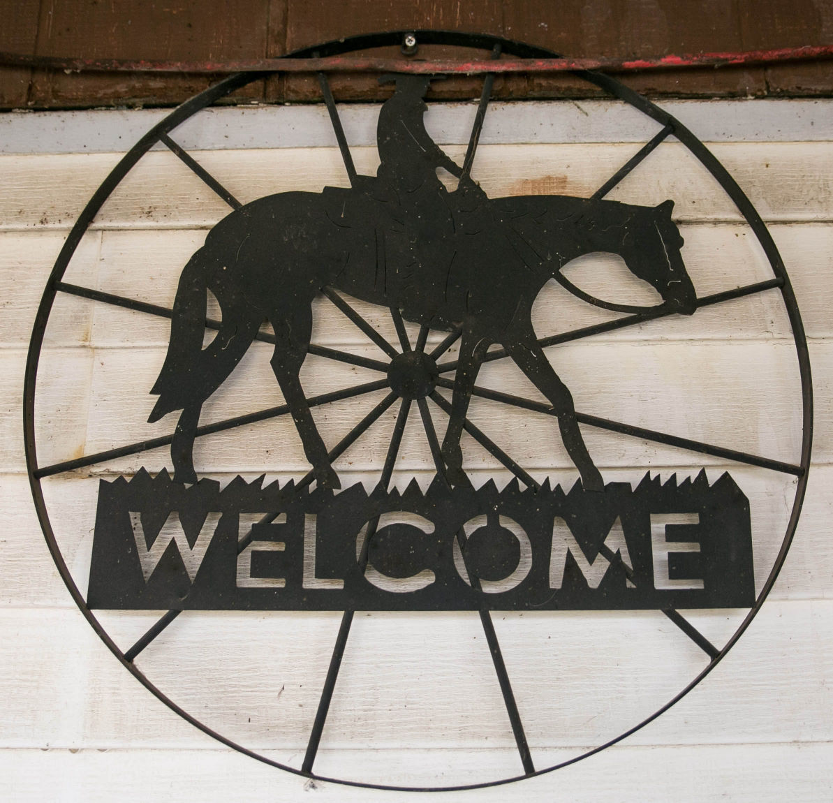 Misfit Acres Horse Sanctuary 3